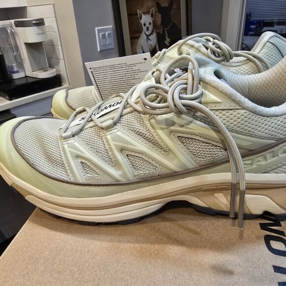 Salomon XT-6 Expanse Men's Alfalfa/Aloe Wash L47445600 Shoes Sneakers SZ 10.5 - Picture 6 of 10